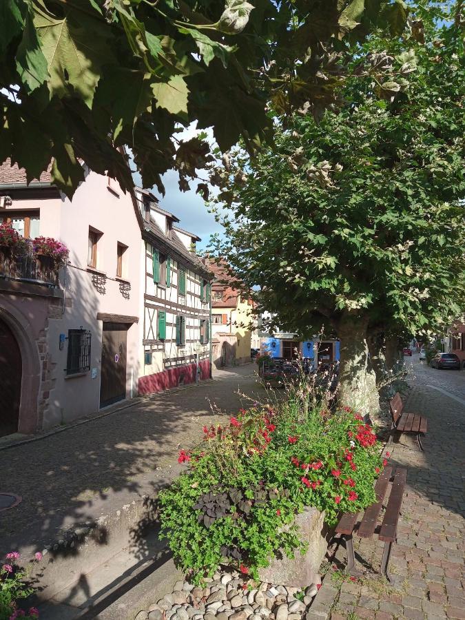 Gites Aux Fines Bulles d'Alsace Bergheim Extérieur photo